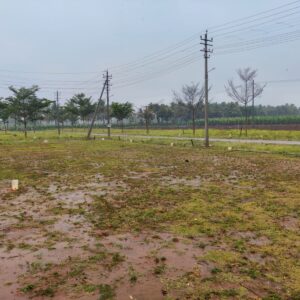 WhatsApp Image 2025-07-17 at 12.40.06 PM